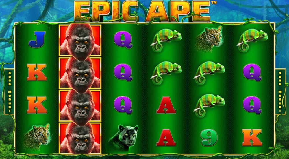 Epic Ape pacanele cu animale Playtech